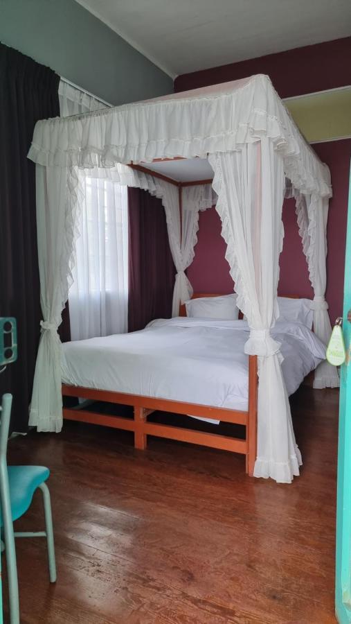 La Casa De Algodon Hotel Huacho Kültér fotó